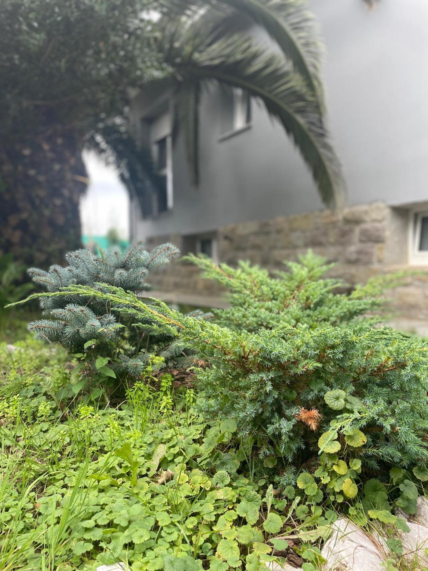 Kasaboba Villa Parres de Llanes Eksteriør bilde